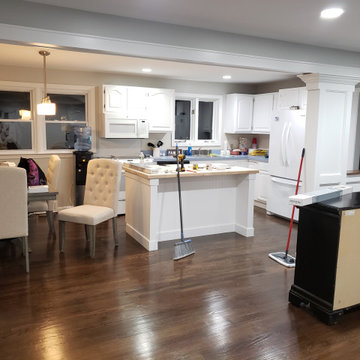 Painting and Remodeling job