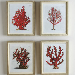 Red Coral Prints - Artwork