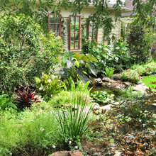 Water Feature Landscape