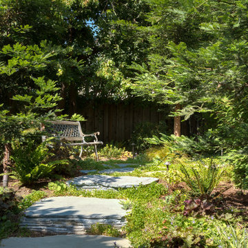Palo Alto, Ca | Elemental Design Group | Eichler Elegance & Backyard Retreat
