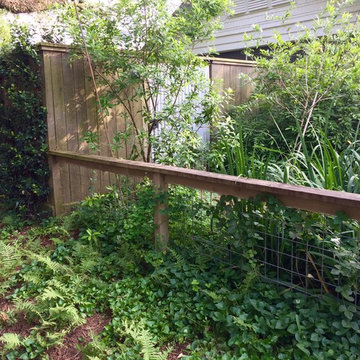 Relaxed Southern Garden