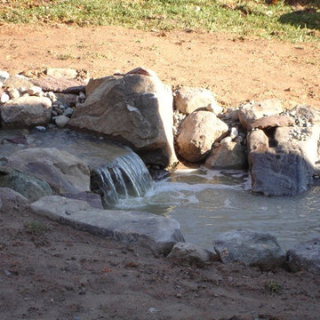 Advanced Backyard Pond in Silver Spring