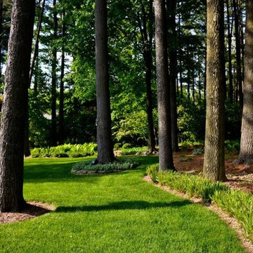Jessing Trail