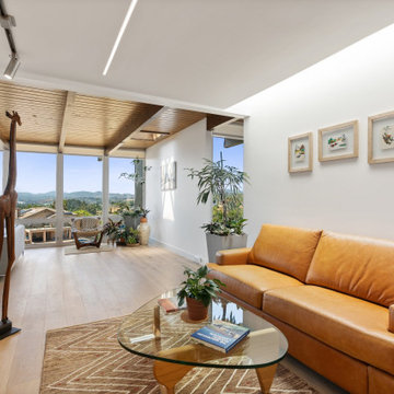 Escondido Contemporary Home Remodel