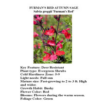 Plants for Landscaping