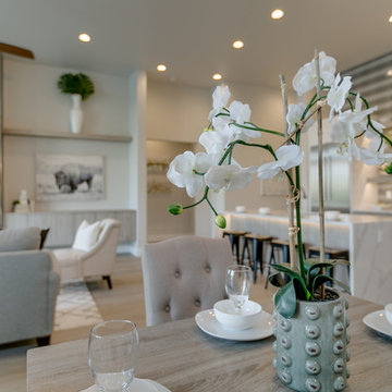 Lot 11 Renovare