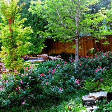 University Park Backyard