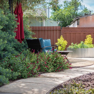 Backyard Circulation and Color