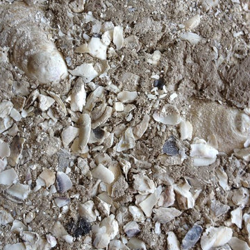 Tabby Lime Stucco
