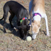Vanessa Straehle's photo