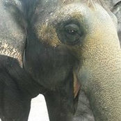 Olivia Miller's photo