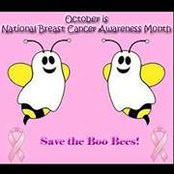 Donna Duke Warman's photo