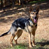 Morgan Dedmon's photo