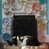 Piper Warlick's photo