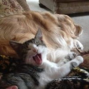 Greta Brink's photo