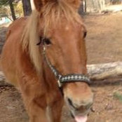 Tonya Neuweiler's photo
