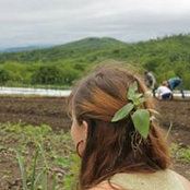 Sal Greenberger's photo