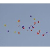 Tracey McGarry's photo