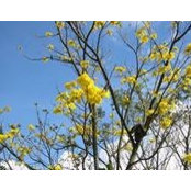 Gloria Arias Escobar's photo