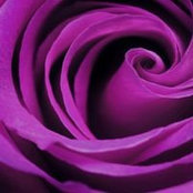 Martha Lopez's photo