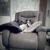Anne Serafin's photo