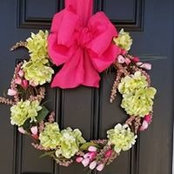 Lynn Kirby's photo