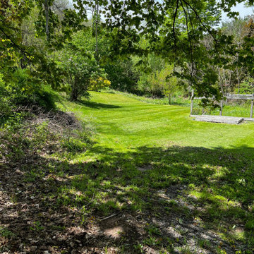 Professional Lawn Care & Mulch Installation