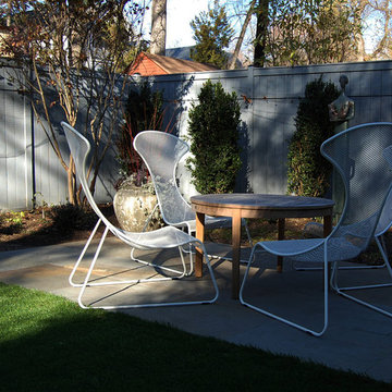 Northwest DC Contemporary garden