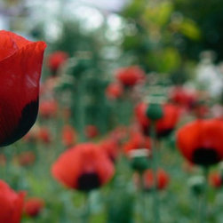 My Photography - Artwork