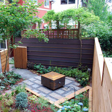 Lawn alternatives