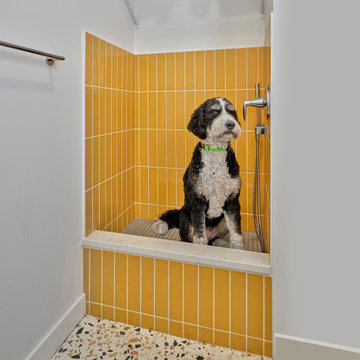 Kaja (renovation) Dog Wash