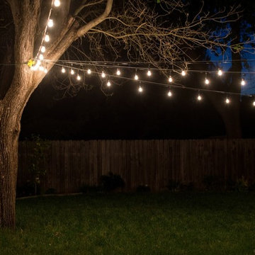 *NEW* Festive Lights!