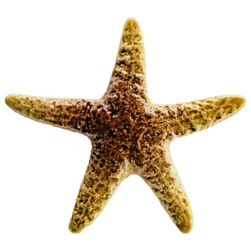 Mini Starfish Ceramic Swimming Pool Mosaic, Tan