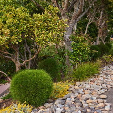 Finalist - 2022 Residential Landscape Design of the Year - Pepo Botanic Design