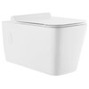 Concorde Wall Hung Toilet Bowl, White