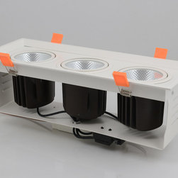 LED down light - Ceiling Lighting