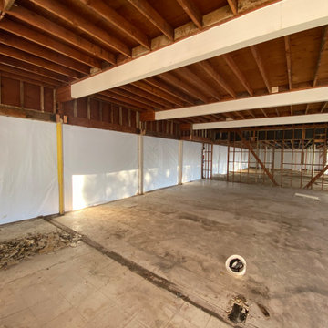 Lions Projects