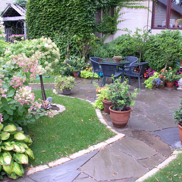 Backyard Paradise