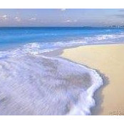 Dina Azim's photo