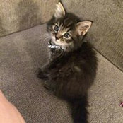Brandon Jimenez's photo