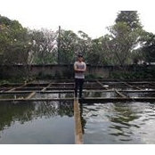 Fariz Shani's photo