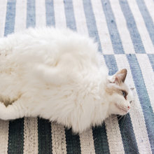 cats i love