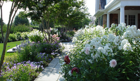 Les eaux de ruissellement, un or bleu à optimiser dans le jardin