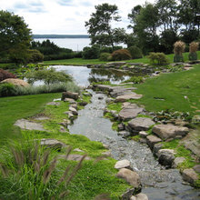 Landscaping Ideas