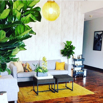 Residential Design Photos