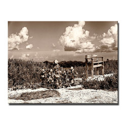Ready2HangArt - "Solice" Canvas Art By Bruce Bain, 30"x40" - Prints And Posters