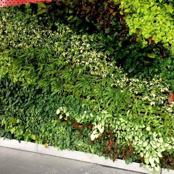 Living Green Wall @ Ngee Ann Polytechanic
