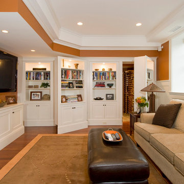 The Potentials of a Basement