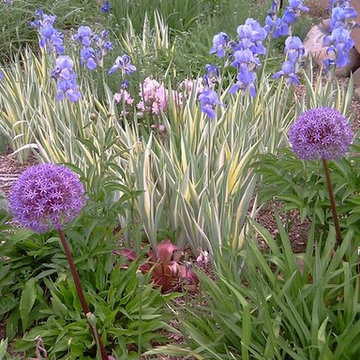 Contemporary Foothills Water Feature