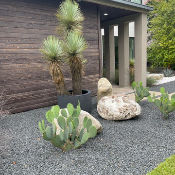 Turtle Creek Modern Landscape